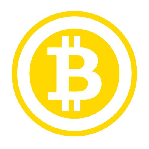 Bitcoin Car Sticker CRYPTOCURRENCY HODL - Crypto gear and stuff